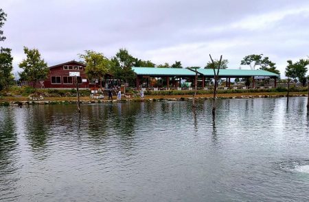 10/16　雨の中でサクラマス連発！ ～フィッシングパーク高島の泉～